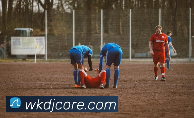 威客电竞全站App